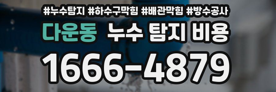 다운동 누수 탐지 비용