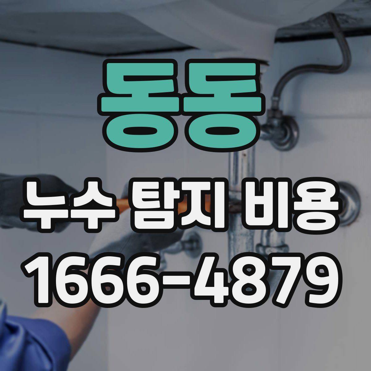 동동 누수 탐지 비용