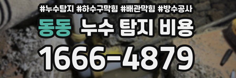 동동 누수 탐지 비용