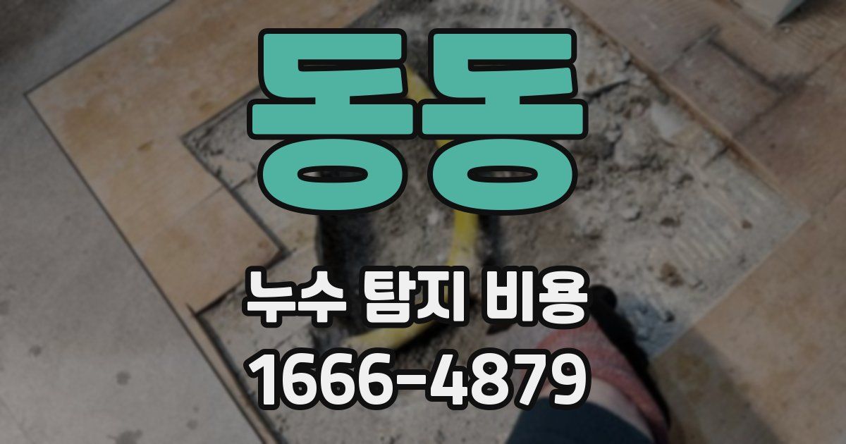 동동 누수 탐지 비용