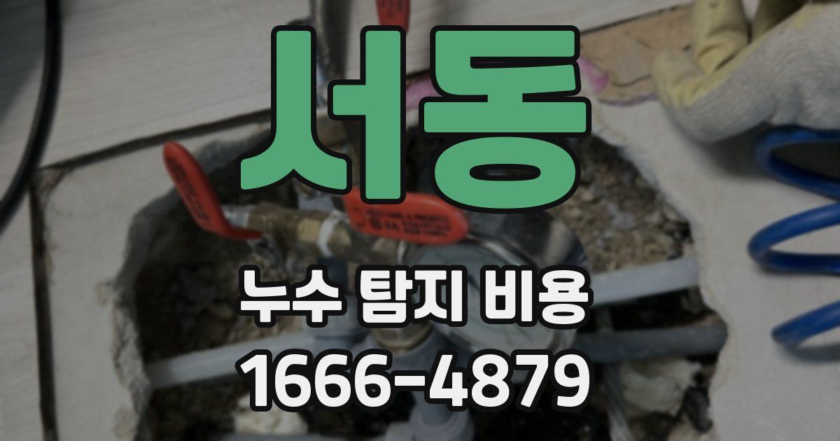 서동 누수 탐지 비용