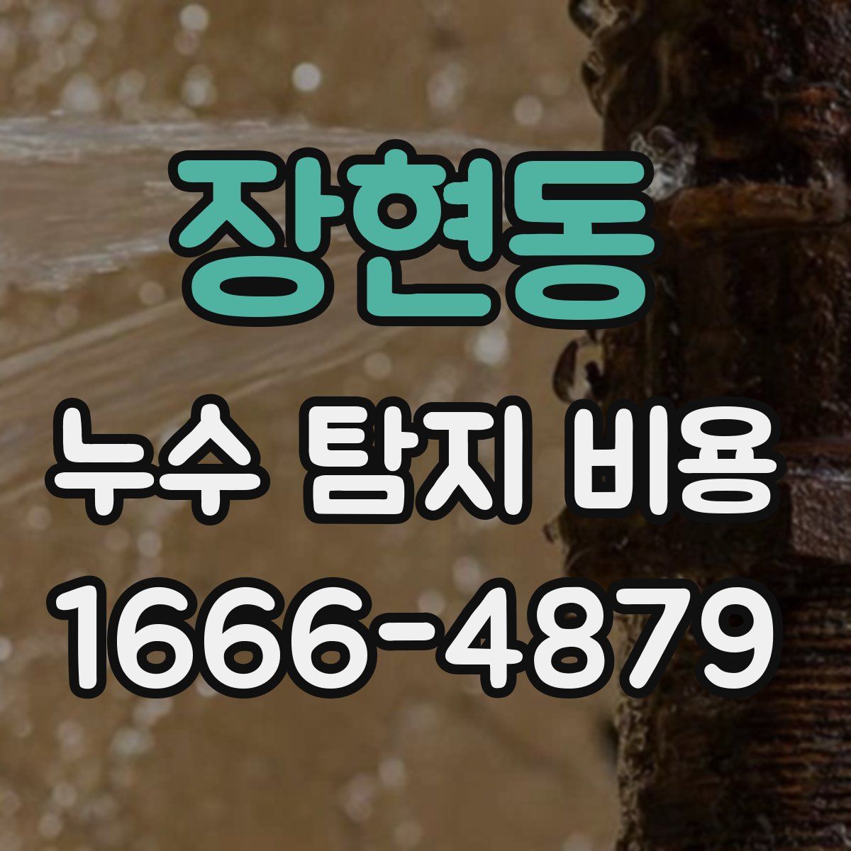 장현동 누수 탐지 비용