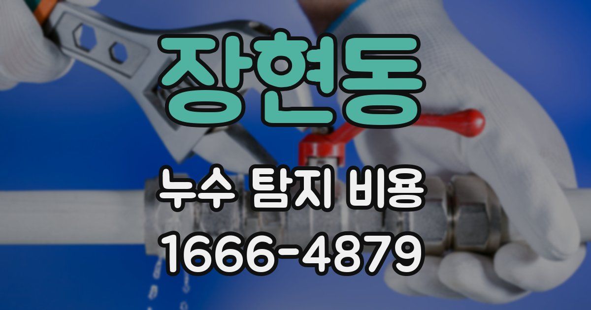 장현동 누수 탐지 비용