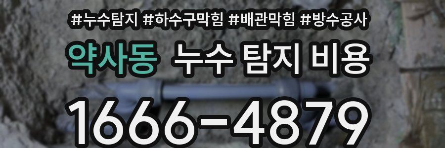 약사동 누수 탐지 비용