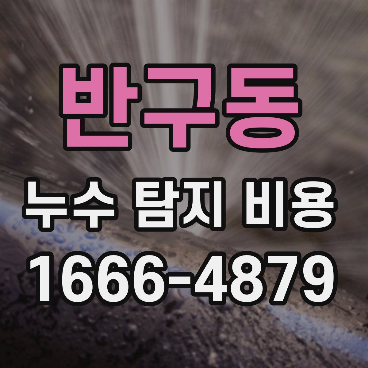 반구동 누수 탐지 비용