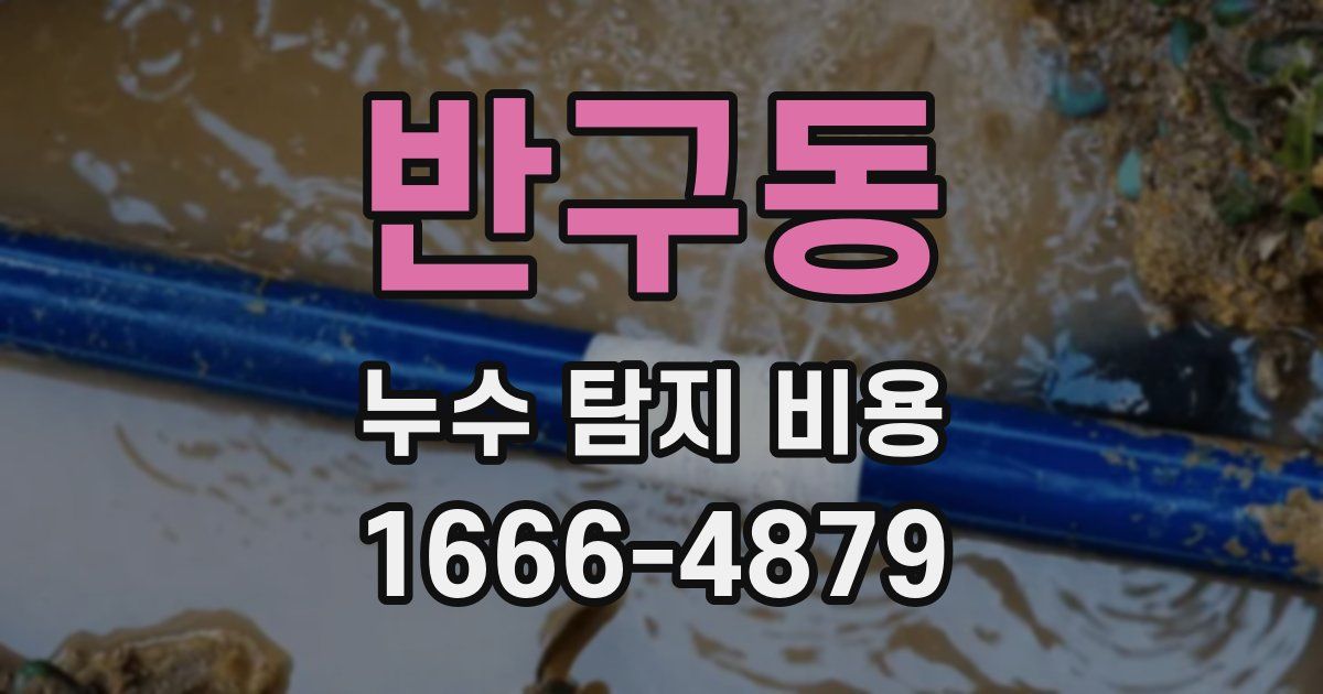 반구동 누수 탐지 비용