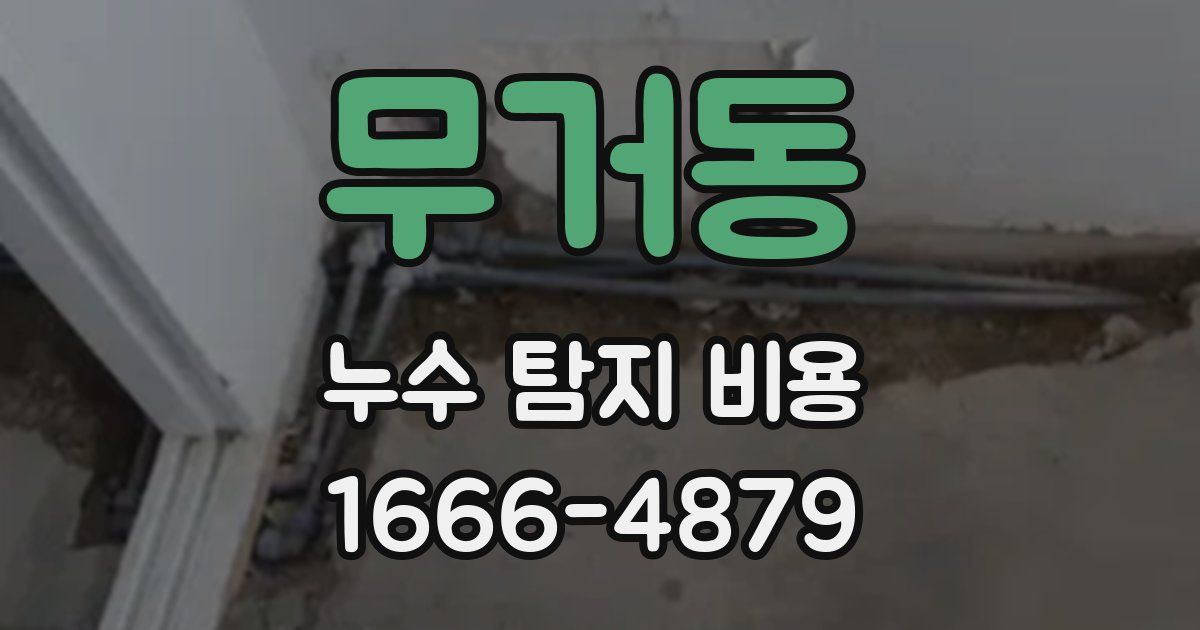 무거동 누수 탐지 비용