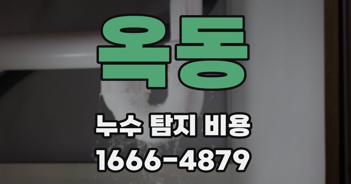 옥동 누수 탐지 비용
