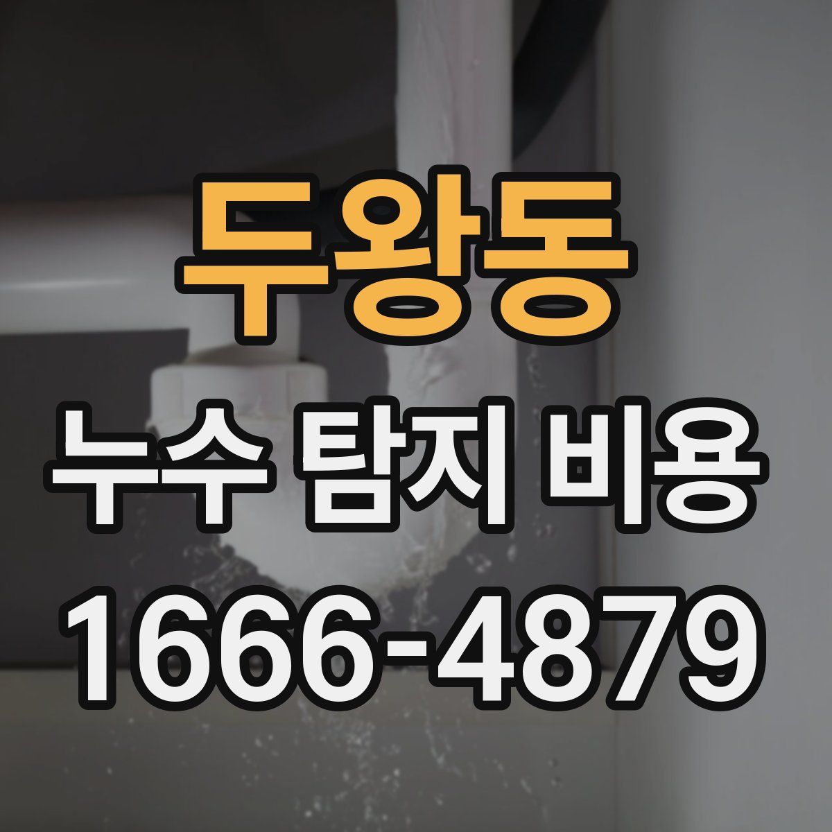 두왕동 누수 탐지 비용