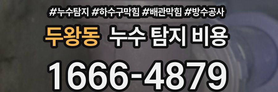 두왕동 누수 탐지 비용