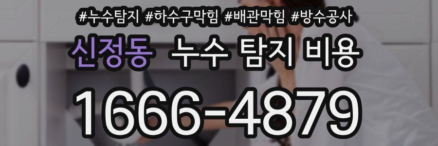 신정동 누수 탐지 비용