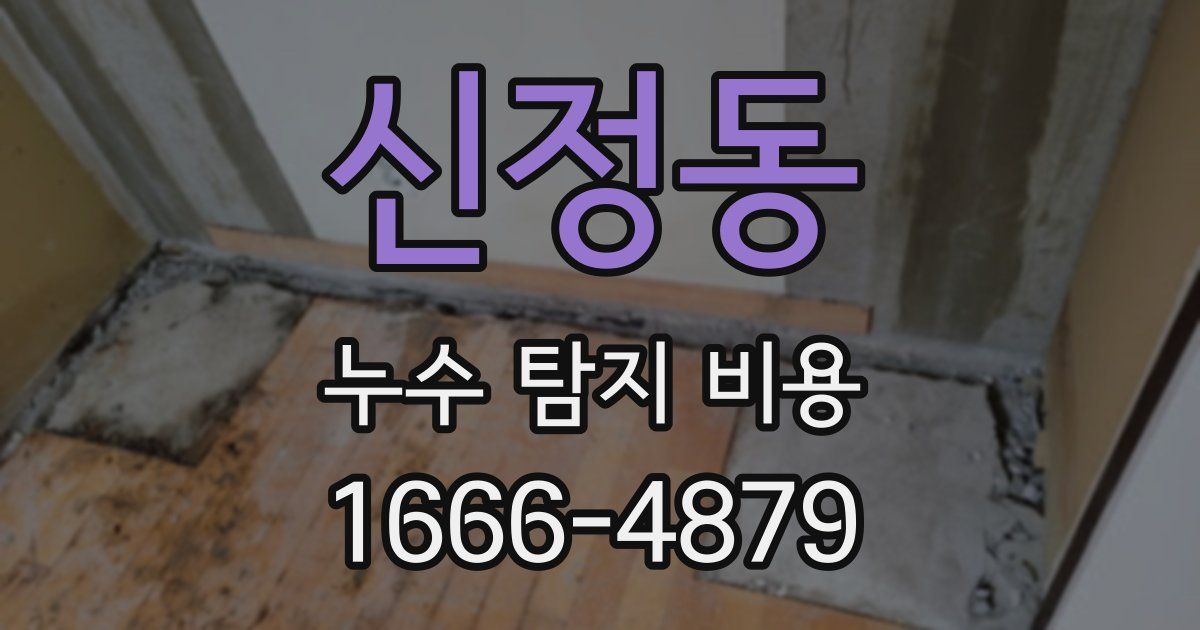 신정동 누수 탐지 비용