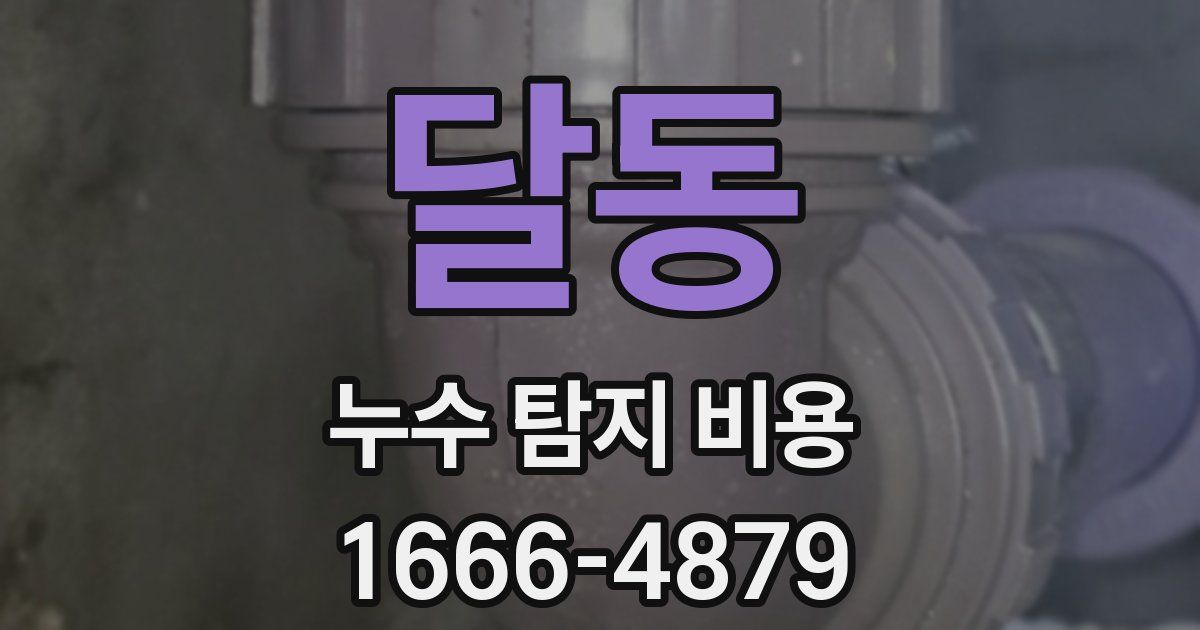 달동 누수 탐지 비용