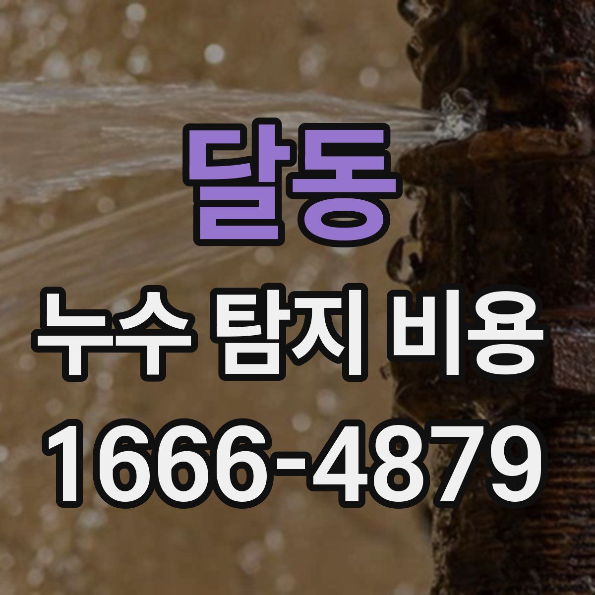 달동 누수 탐지 비용
