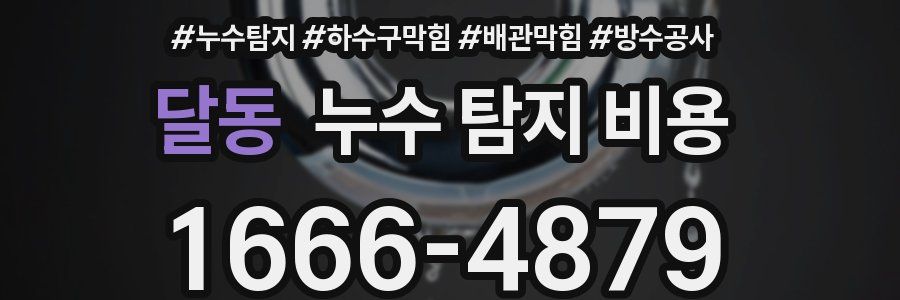 달동 누수 탐지 비용