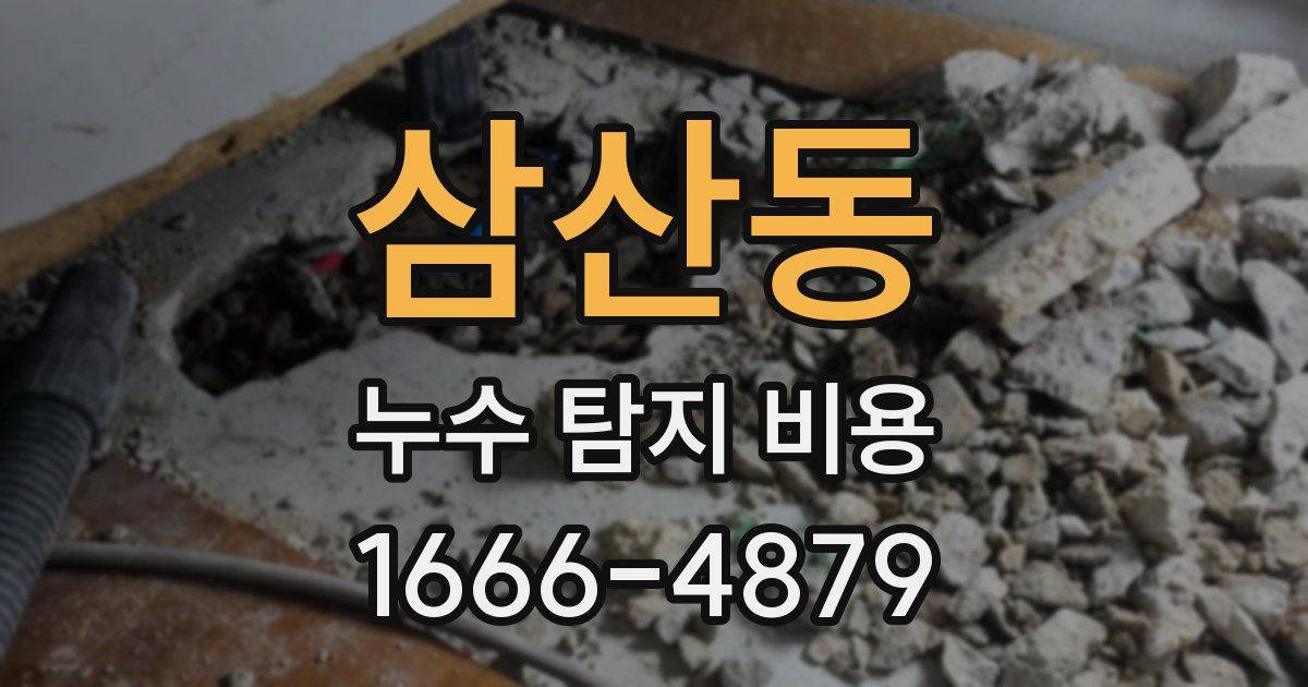 삼산동 누수 탐지 비용