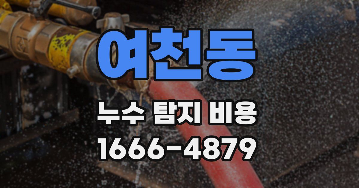 여천동 누수 탐지 비용