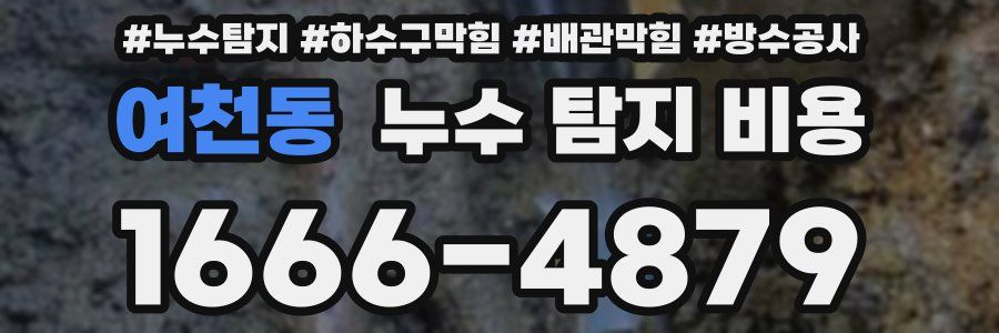 여천동 누수 탐지 비용