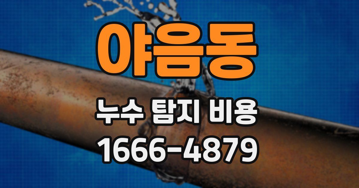 야음동 누수 탐지 비용