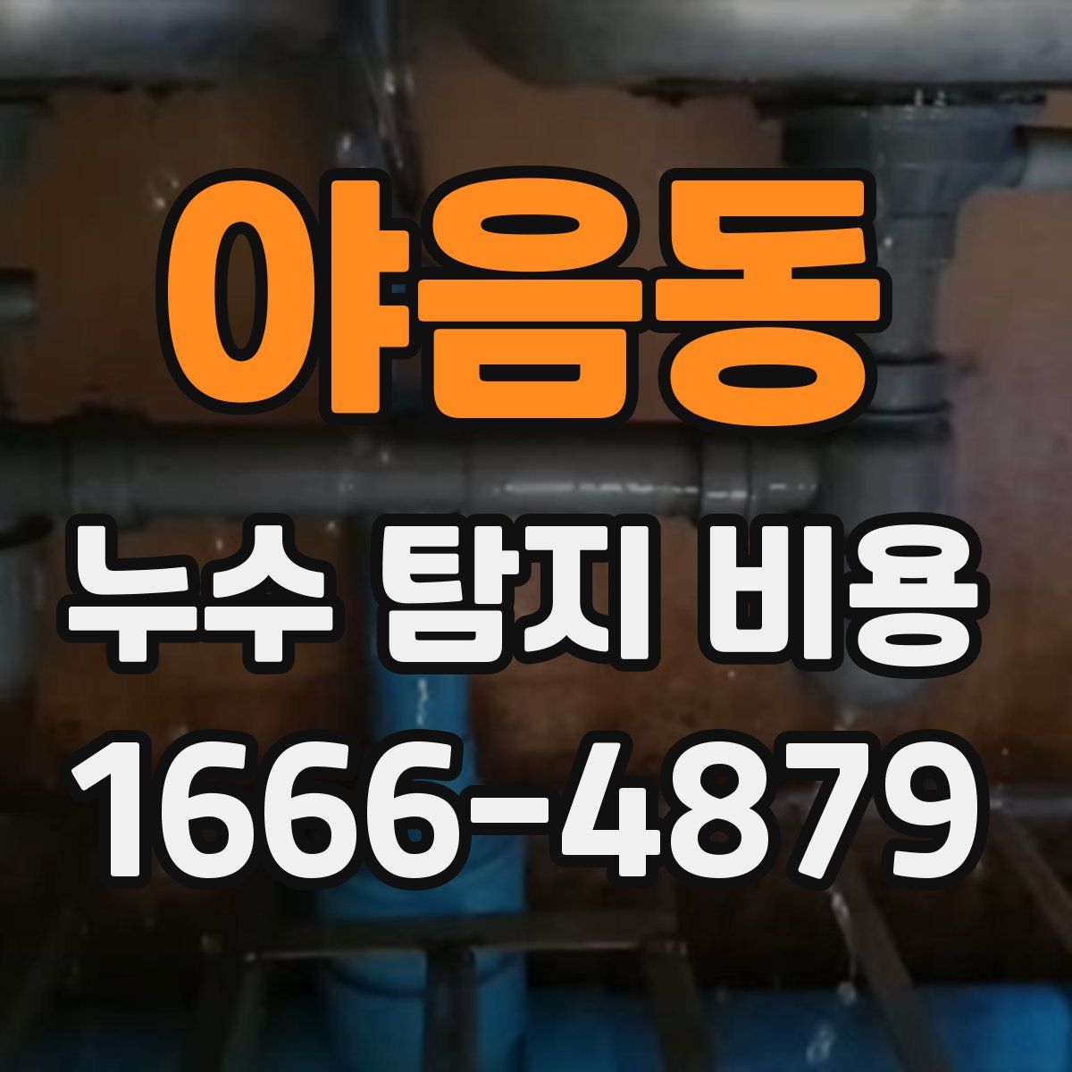 야음동 누수 탐지 비용