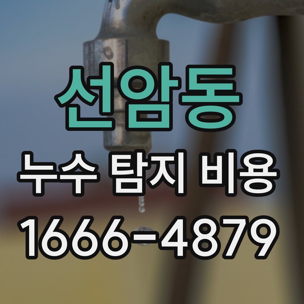 선암동 누수 탐지 비용