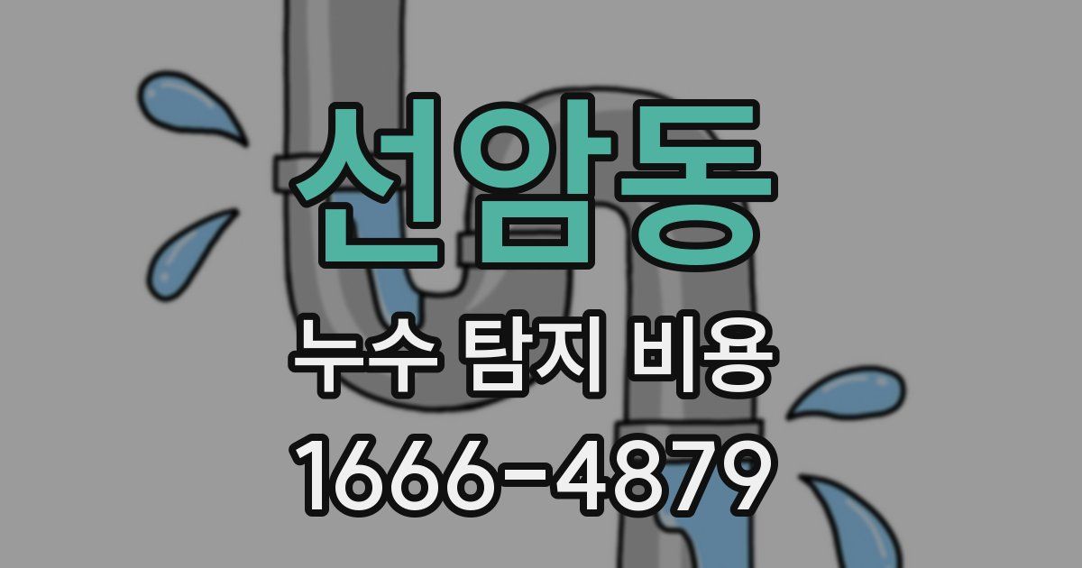 선암동 누수 탐지 비용