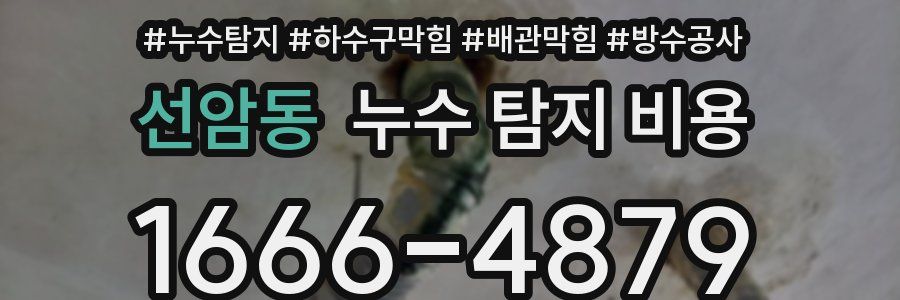 선암동 누수 탐지 비용