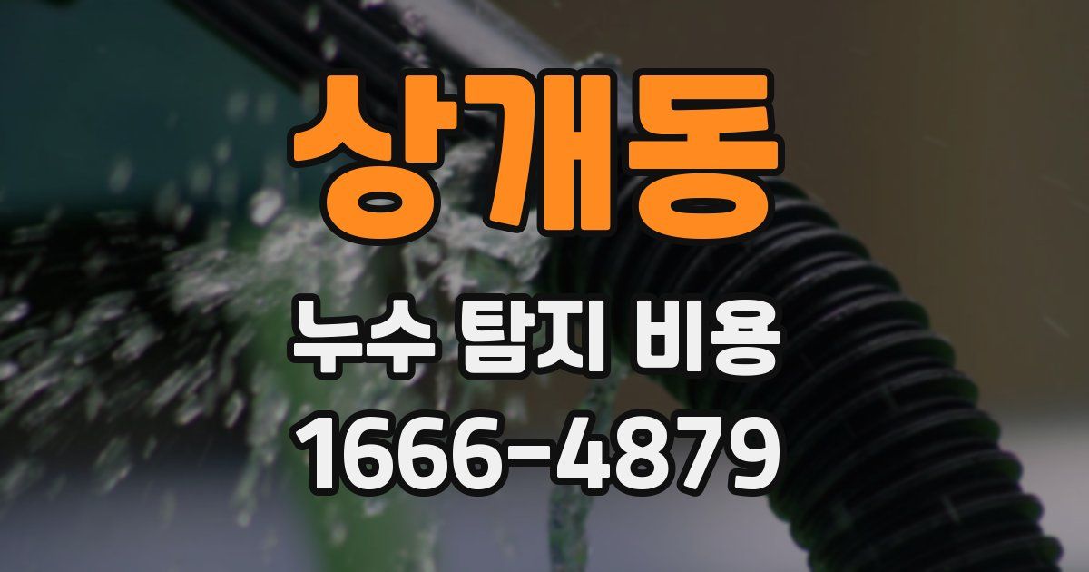 상개동 누수 탐지 비용