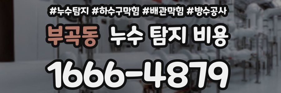 부곡동 누수 탐지 비용