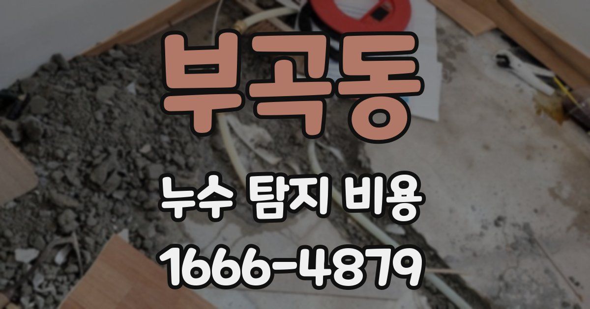 부곡동 누수 탐지 비용