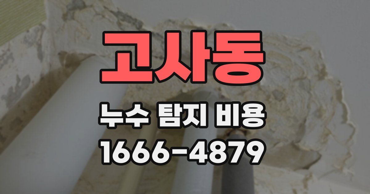 고사동 누수 탐지 비용