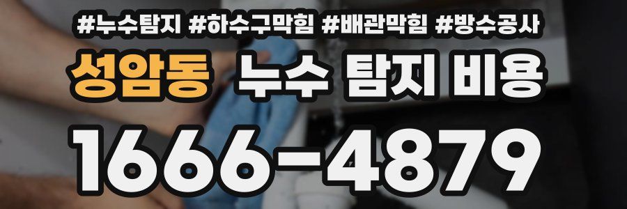 성암동 누수 탐지 비용