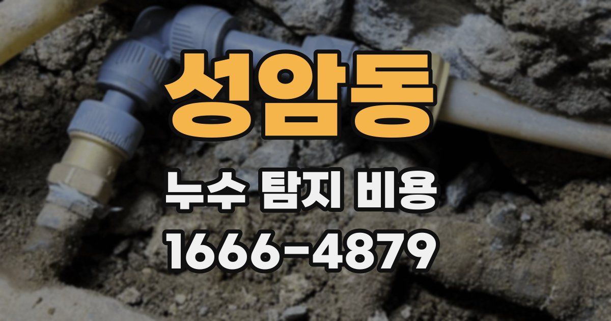 성암동 누수 탐지 비용