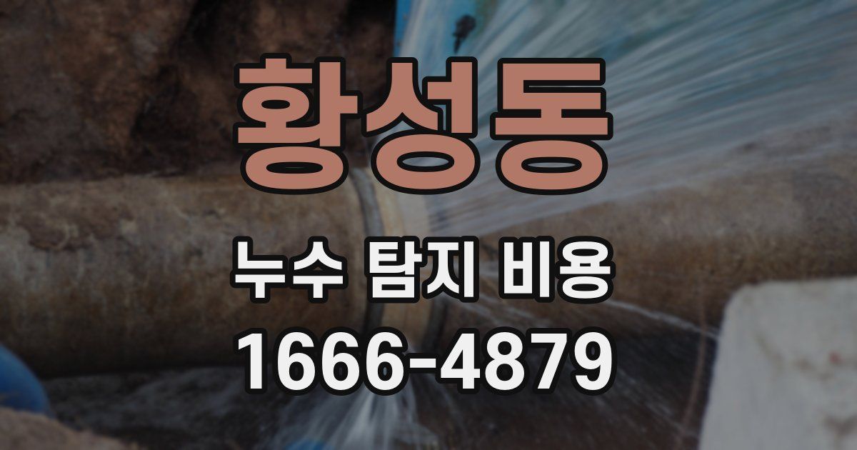 황성동 누수 탐지 비용