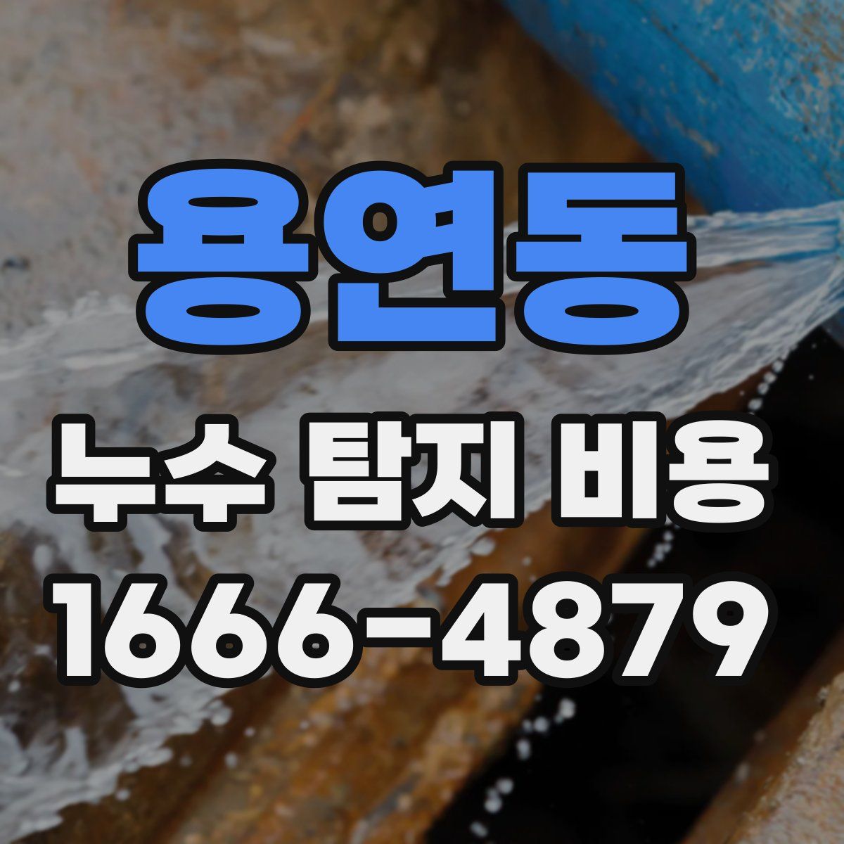 용연동 누수 탐지 비용
