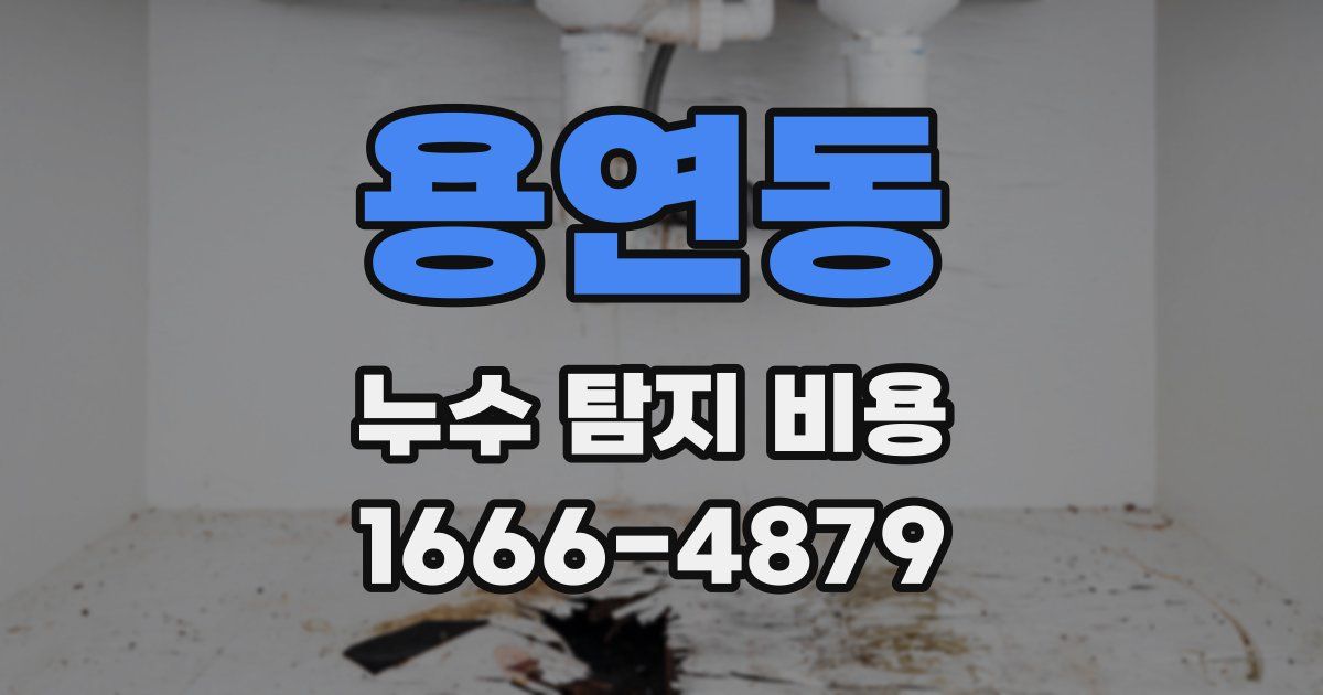 용연동 누수 탐지 비용