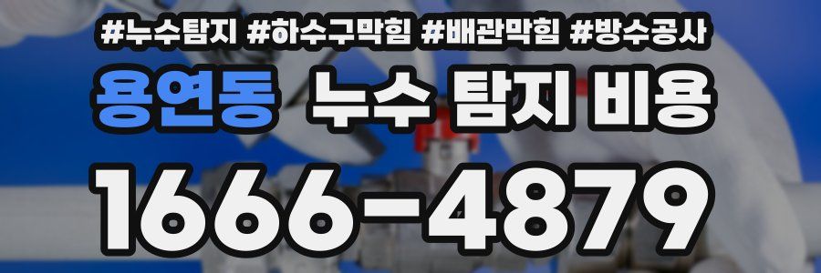 용연동 누수 탐지 비용