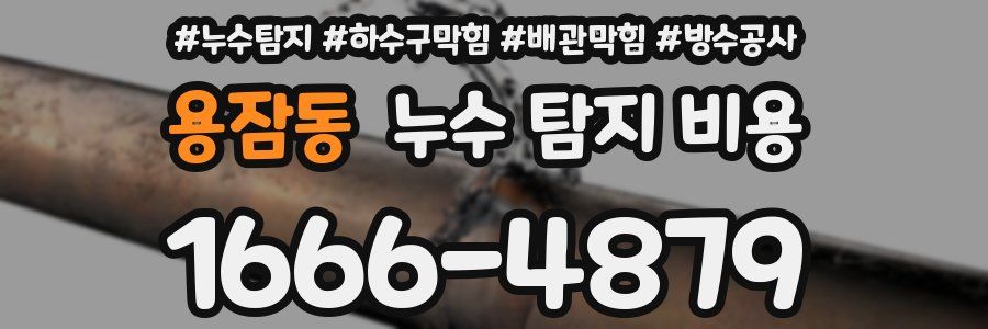 용잠동 누수 탐지 비용