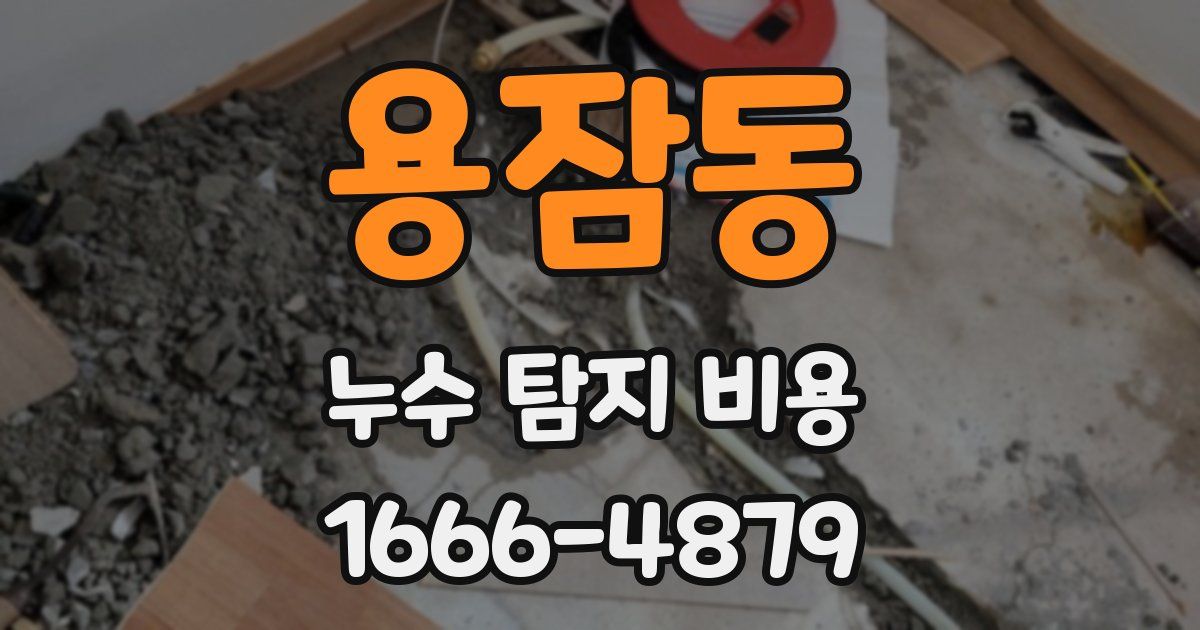 용잠동 누수 탐지 비용