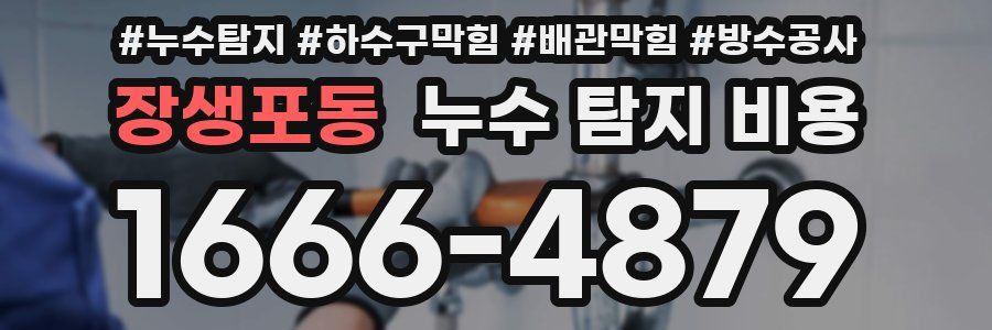 장생포동 누수 탐지 비용