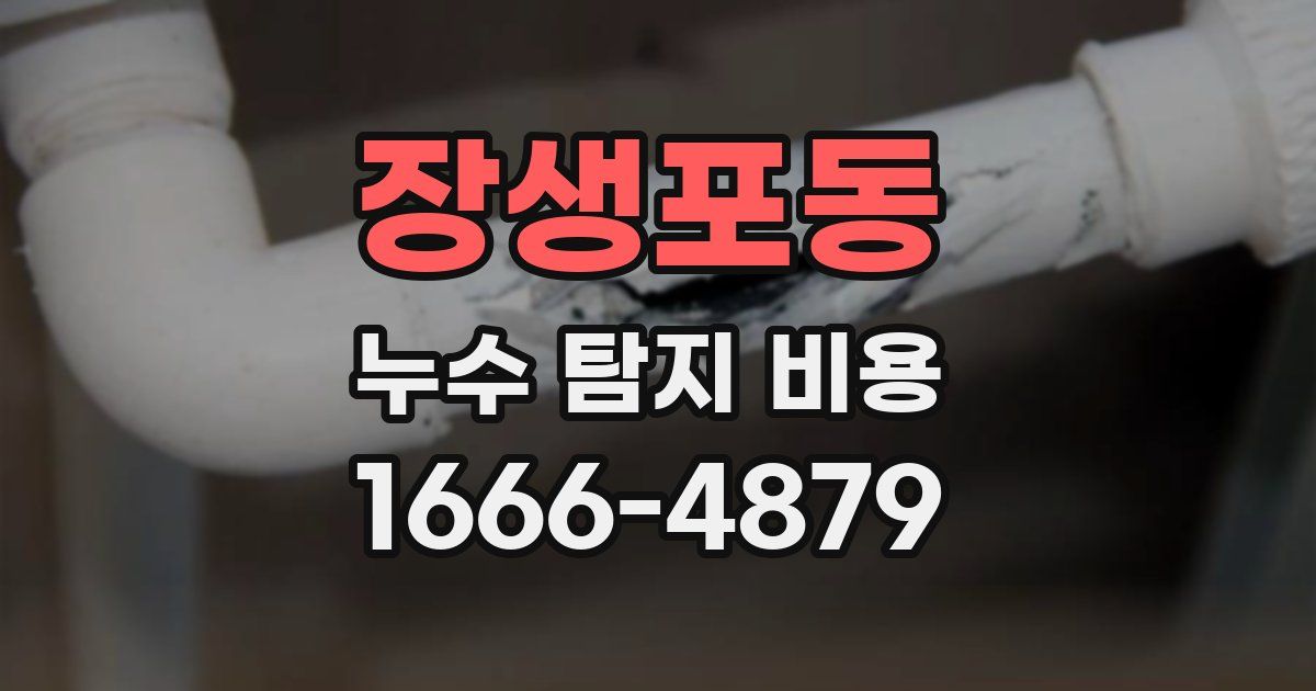 장생포동 누수 탐지 비용