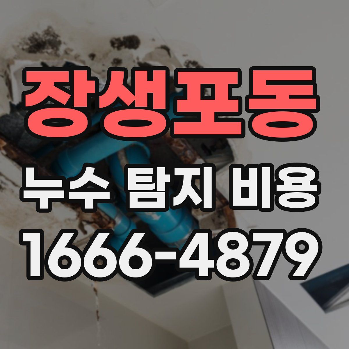 장생포동 누수 탐지 비용