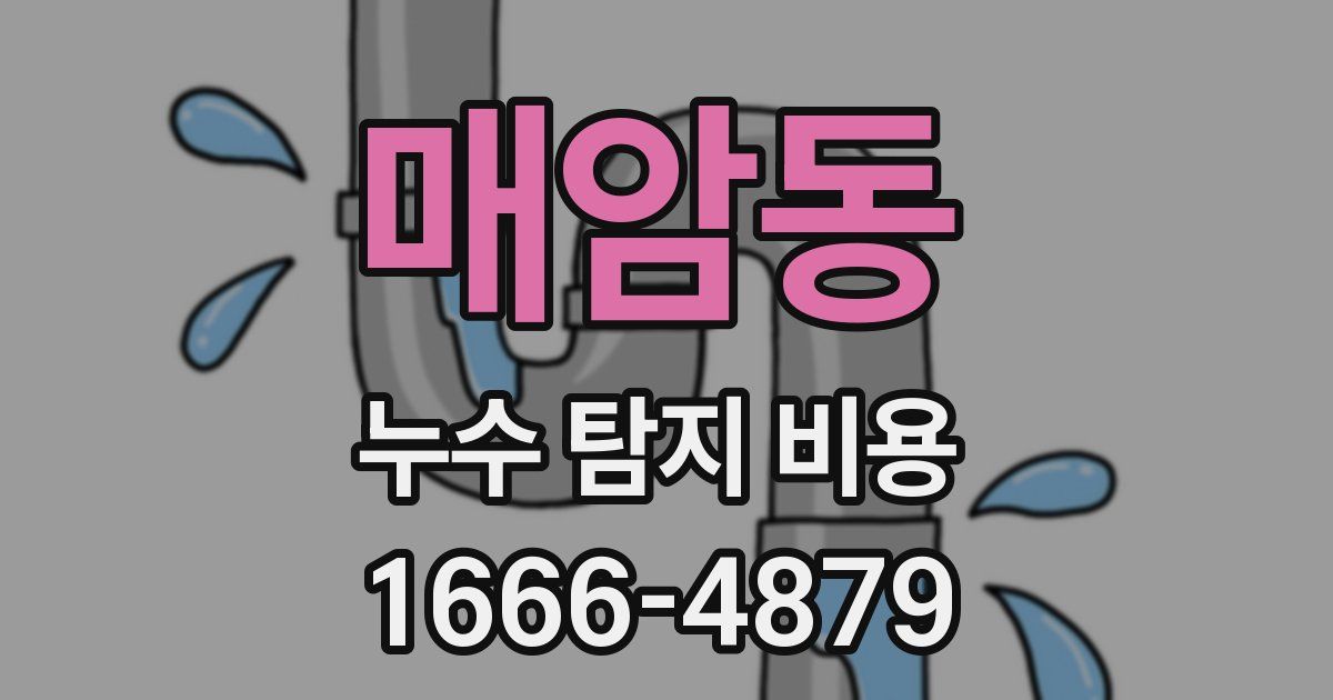매암동 누수 탐지 비용