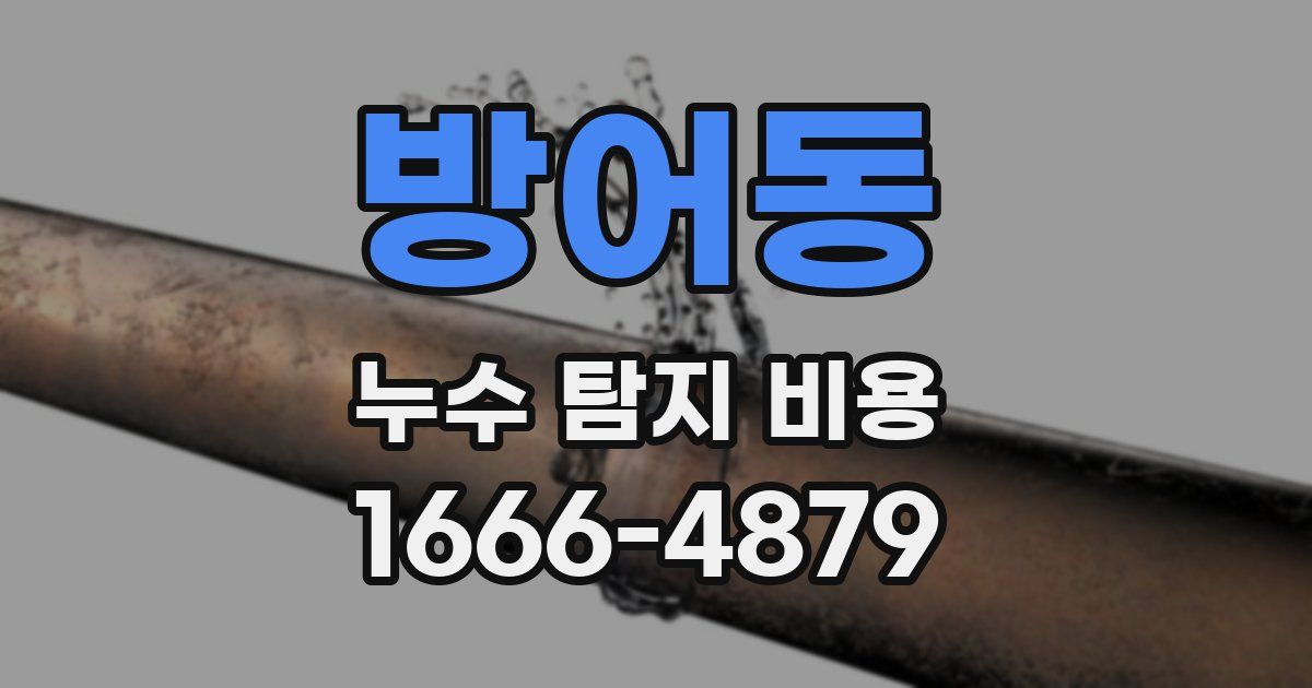 방어동 누수 탐지 비용