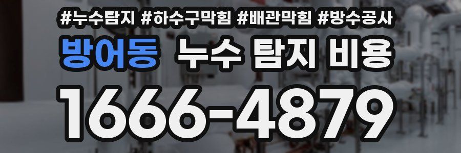 방어동 누수 탐지 비용