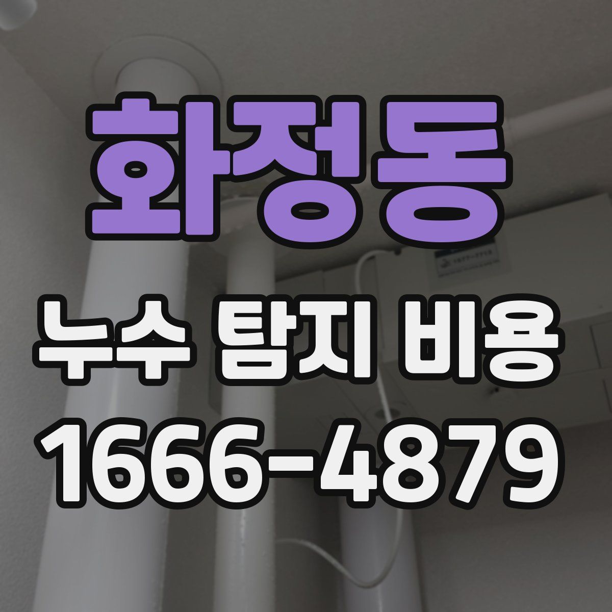 화정동 누수 탐지 비용