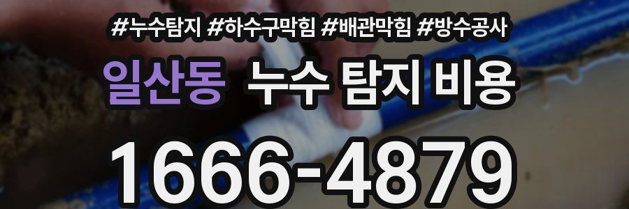 일산동 누수 탐지 비용