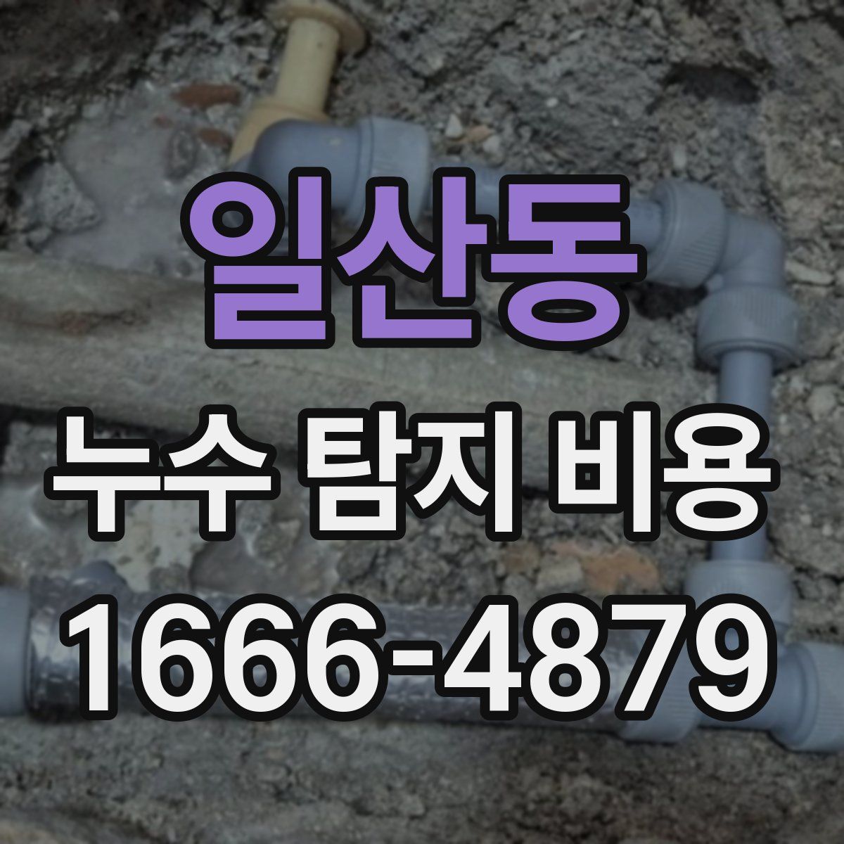 일산동 누수 탐지 비용