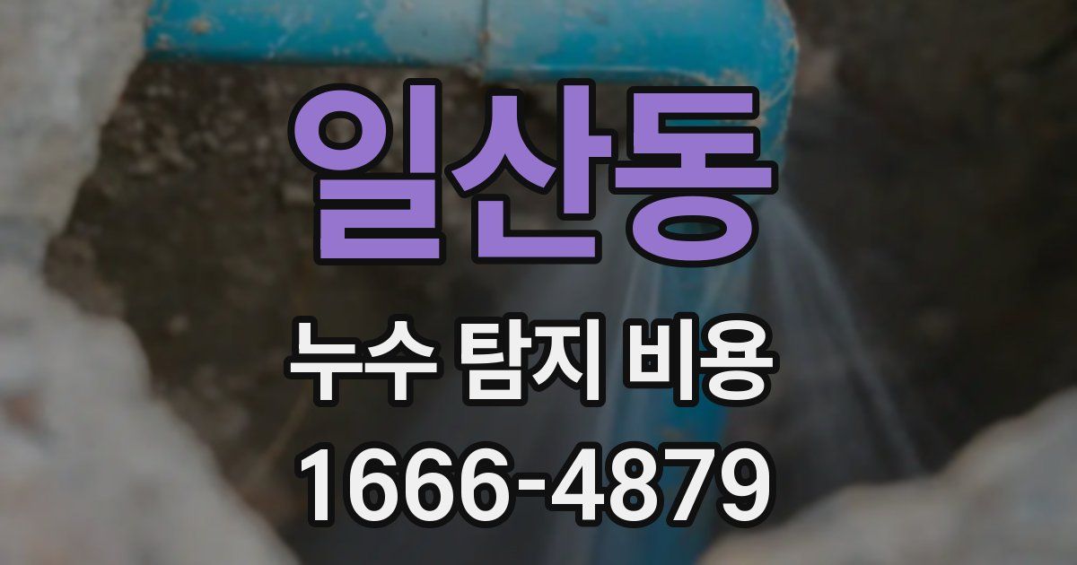일산동 누수 탐지 비용