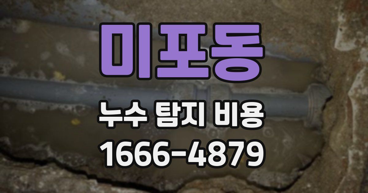 미포동 누수 탐지 비용
